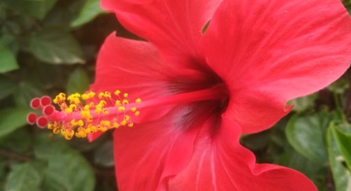 IMG_20180529_095211-750×410