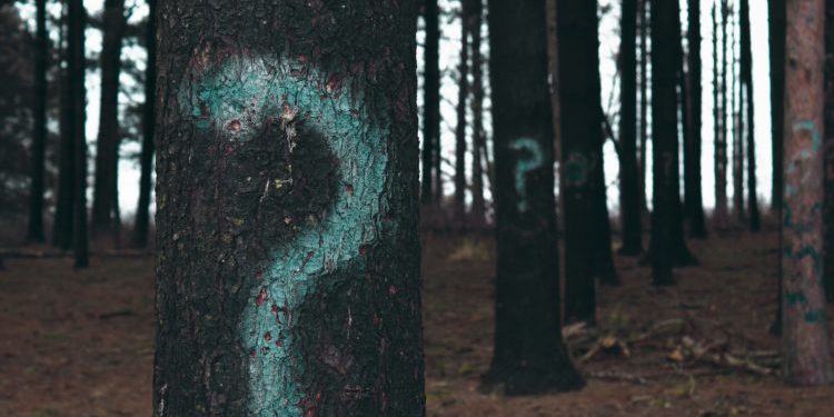 photo-1458419948946-19fb2cc296af-min-750×410